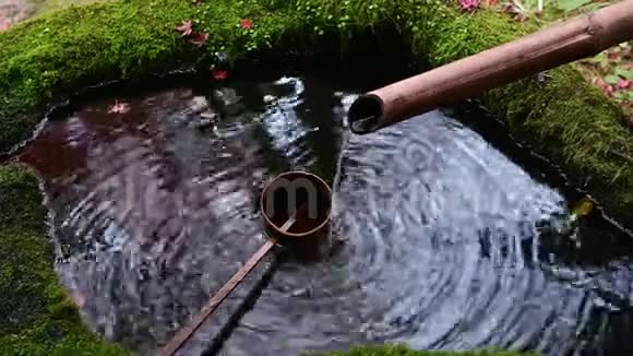 神道神宫入口4K水盆视频的预览图