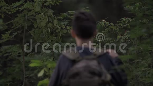 在森林里背着背包的男孩穿过灌木丛户外视频的预览图