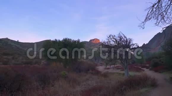 加州皮纳斯国家公园的自然风光没有人视频的预览图