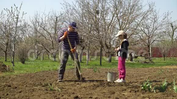 白种人农民和他的女儿早春在农场种土豆视频的预览图