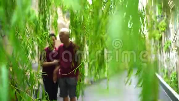 亚洲老夫妇牵着手走过绿柳树幸福快乐视频的预览图