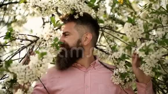 樱桃树花附近的笑脸上留着胡子和胡子的人柔和温柔的概念有胡子的男人时尚视频的预览图
