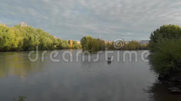 秋天一条河的电影录像水中有一根枯木视频的预览图