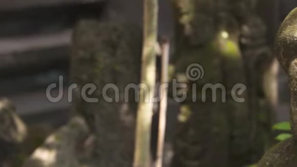 树林中的一座雕像树枝在附近生长视频的预览图