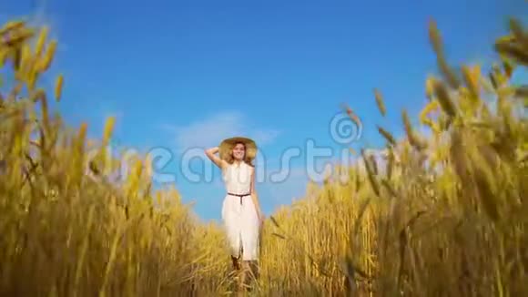 快乐浪漫的红发女人走在麦田里视频的预览图