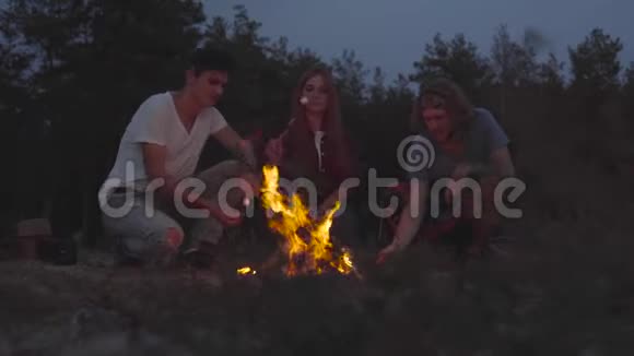 年轻的朋友在沙滩上打着寒战在温暖的夏日夜晚生火做棉花糖聊天视频的预览图