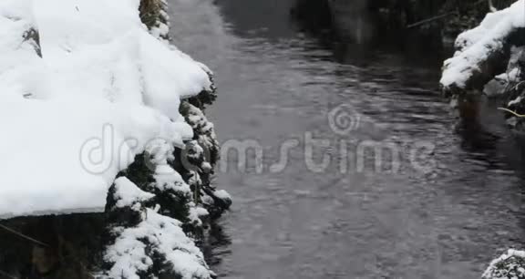 冬天的溪流视频的预览图