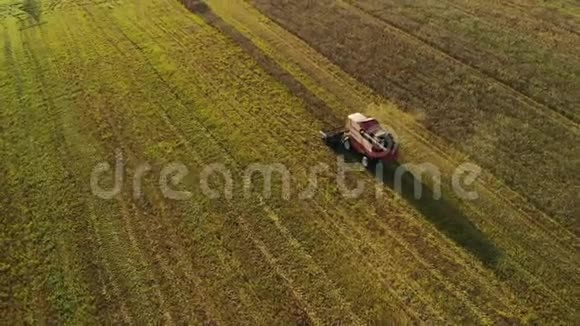 老式联合收割机在粮食工业和农业综合企业的一个领域收割小麦视频的预览图