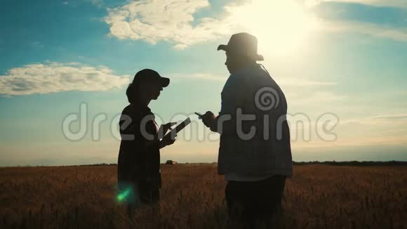 农民们在收割的时候与小麦作物握手团队农民站在一片麦田里放着药片伙伴关系视频的预览图