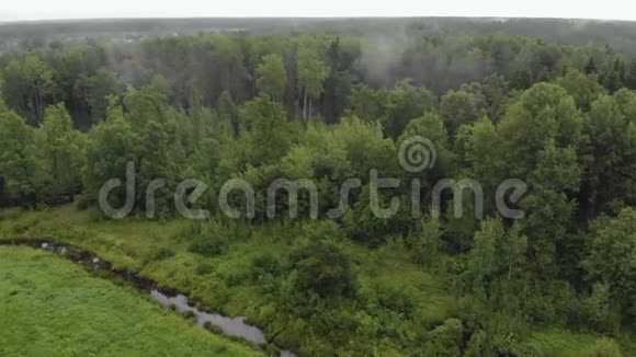 一片白雾像烟一样飘过一片茂密的绿色森林森林上空的雨视频的预览图
