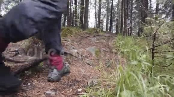 在森林道路上看到男性徒步旅行者库存录像靠近男子旅行鞋探索自然和步行视频的预览图