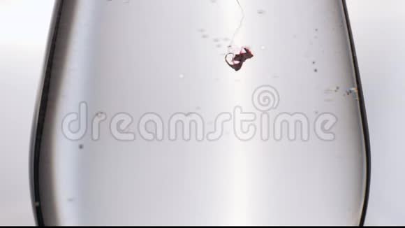 红色墨水在水中反应创造抽象的背景视频的预览图