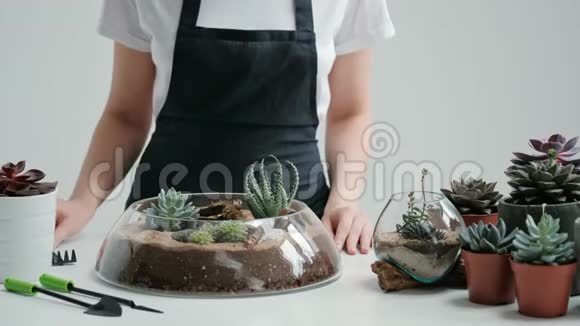 女花匠园丁在玻璃花瓶里装饰一个迷你花园沙子里有多汁和仙人掌视频的预览图