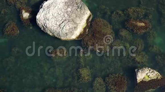 水下狩猎无人机高空俯视图海岸岩石间的海上捕鱼视频的预览图