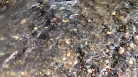 水从河床的岩石中流过视频的预览图
