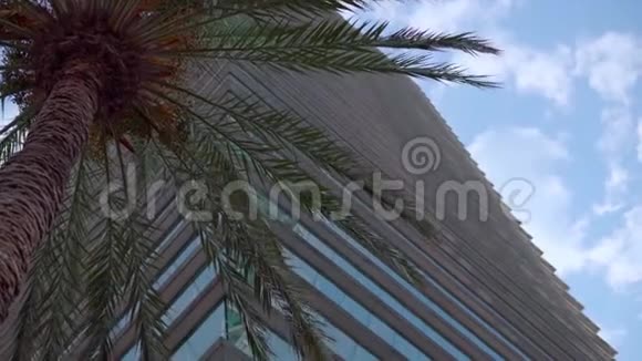 高大的玻璃建筑旁边的棕榈树对蓝天办公大楼视频的预览图