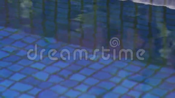 游泳池区域的水和马赛克瓷砖视频的预览图
