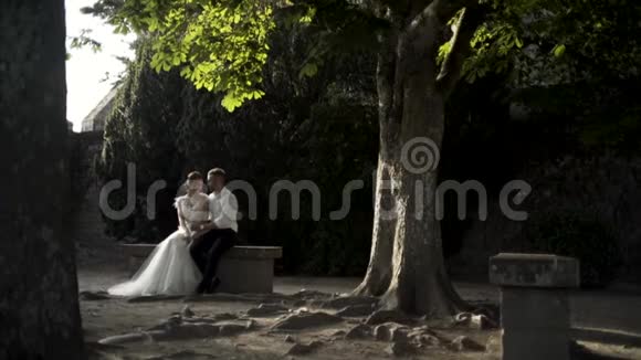 美丽的新婚夫妇正坐在绿色公园的一张旧长凳上行动时髦的新郎拥抱可爱的新娘视频的预览图