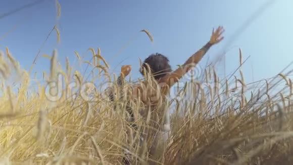 可爱的女人留着短发在麦田里前景中的黄色麦穗女孩喜欢大自然摆姿势视频的预览图
