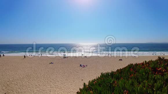 海浪和沙滩与人们美丽的加州风景视频的预览图