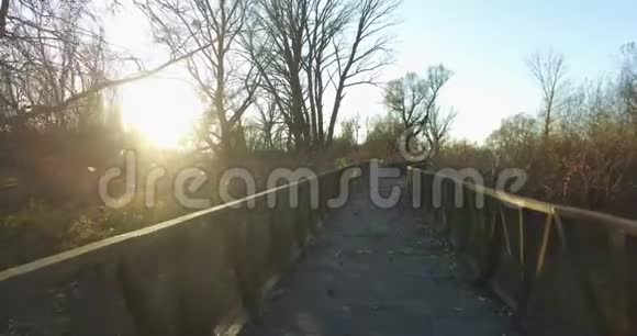 在一个由秋天环绕的湿地公园里路向阳光两个方向左右为木制行人小径视频的预览图
