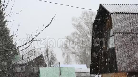 冬湿雪落视频的预览图