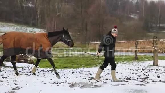 骑手要和他的马一起去视频的预览图
