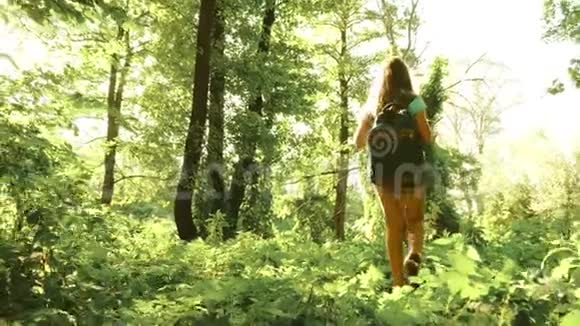 快乐的女孩旅行者带着背包在森林里旋转把他的手臂伸向不同的方向沉思Hike视频的预览图