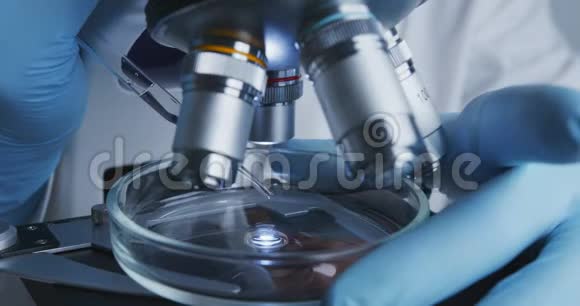 技师将溶液从吸管滴入培养皿中以便在显微镜下进一步检查视频的预览图
