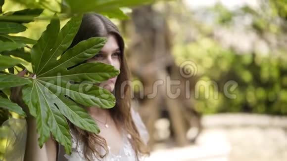 美丽的年轻女子摆姿势躲在绿叶后面行动漂亮的年轻女子用绿叶遮住她的脸视频的预览图