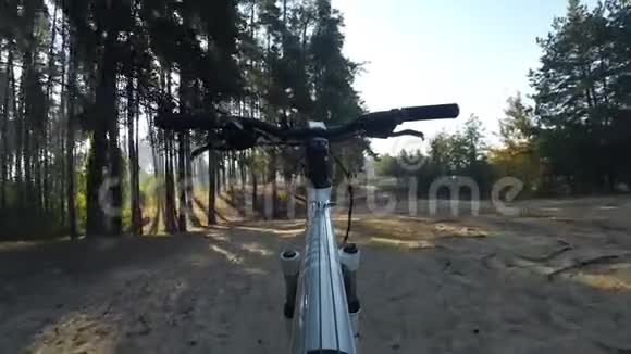 在森林里骑自行车而不用手驾驶视频的预览图