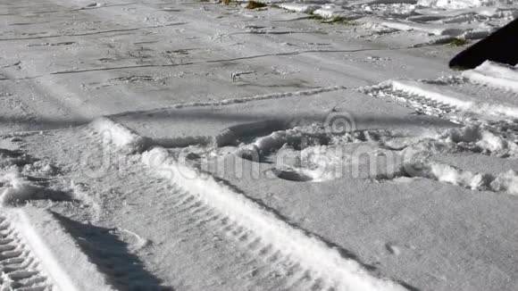 清理车道上的积雪视频的预览图