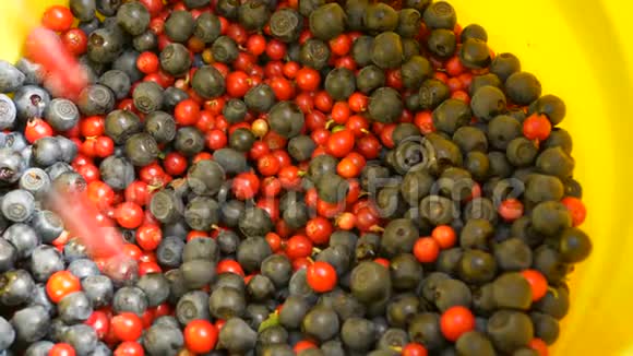 新鲜多汁的浆果蔓越莓和蓝莓倒入桶中视频的预览图
