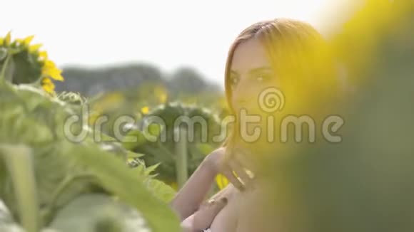 可爱自信性感女孩的肖像红色的头发和绿色的眼睛站在向日葵田野上美的概念视频的预览图