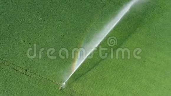 灌溉喷雾器灌溉耕地俯视图视频的预览图