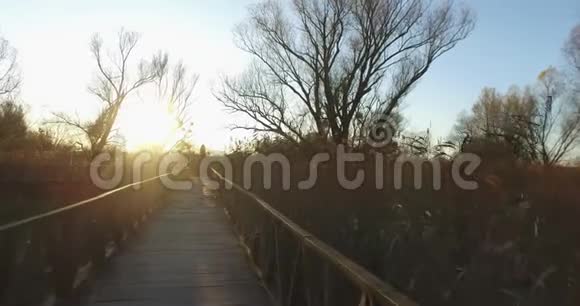 向日落方向走去大自然中的散步被沼泽和沼泽的秋天植物包围着视频的预览图