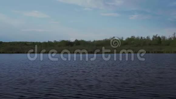 森林背景下平静的河面浅水视频的预览图