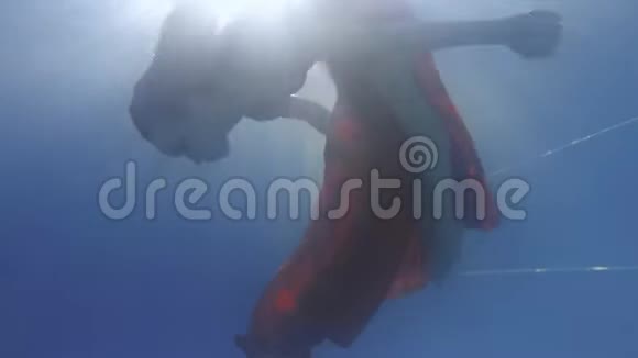 化妆的年轻女子穿着长裙在水下游泳4K视频的预览图