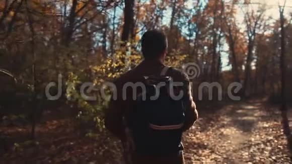 一个人静静地走在森林里视频的预览图