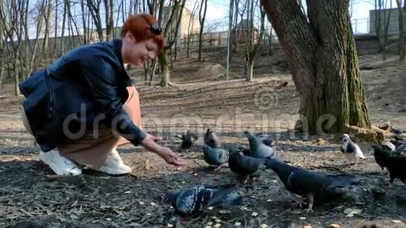 春天一位留着短发的红发女郎从公园的手里喂了一群鸽子视频的预览图