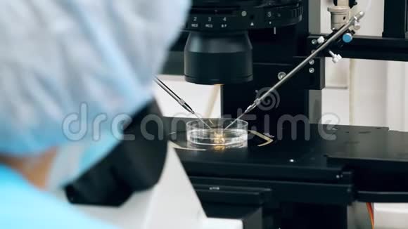 显微镜元素在分析过程中视频的预览图