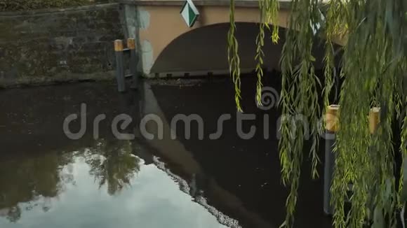 柏林运河大桥上垂柳树的叶子视频的预览图