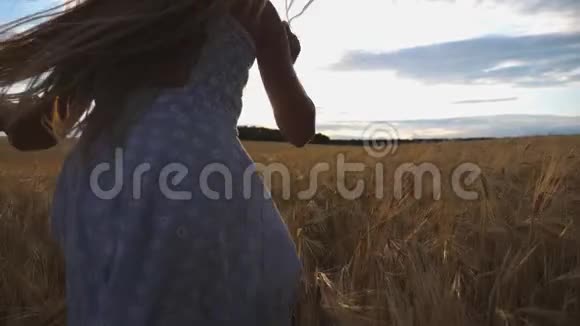 小女孩和小男孩互相牵着手在大麦种植园里奔跑几个带气球的小孩视频的预览图