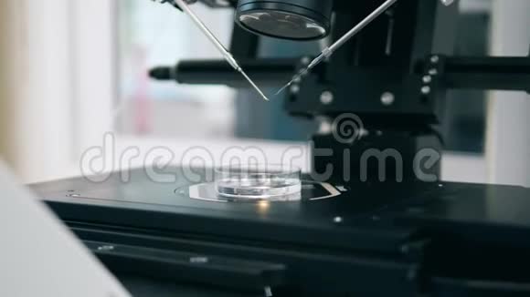 试管婴儿体外受精过程在实验室举行在显微镜下分析液体物质视频的预览图