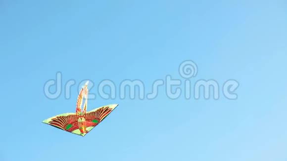 夏天小男孩在海滩上玩风筝风筝在蓝天上飞翔男孩把他吸引到视频的预览图