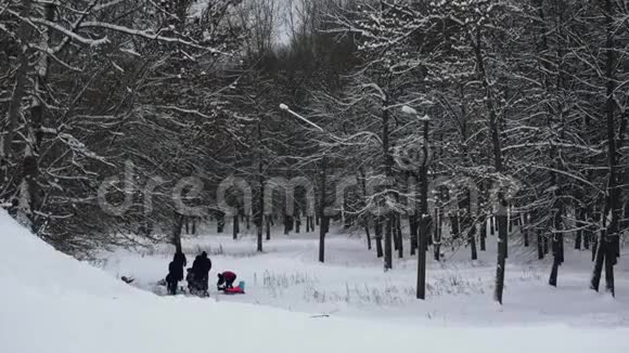 有孩子的人和父母在冬天的森林里雪橇日间家庭假日视频的预览图