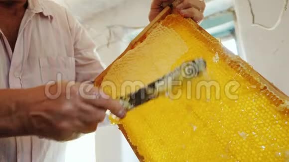 高级养蜂人为蜂蜜制作框架人工劳动视频的预览图