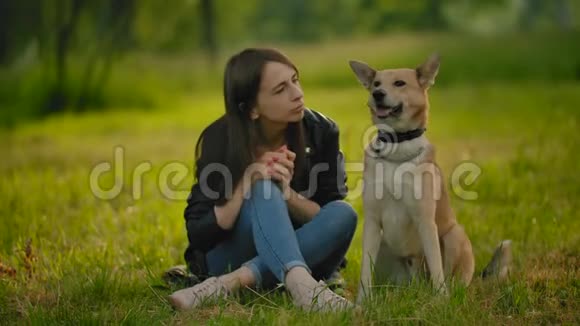 女孩坐在草地上抚摸着她的狗视频的预览图
