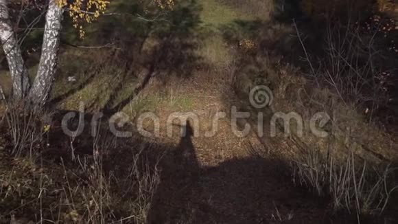 人他的影子在棕色的地上长满了干草和落叶视频的预览图