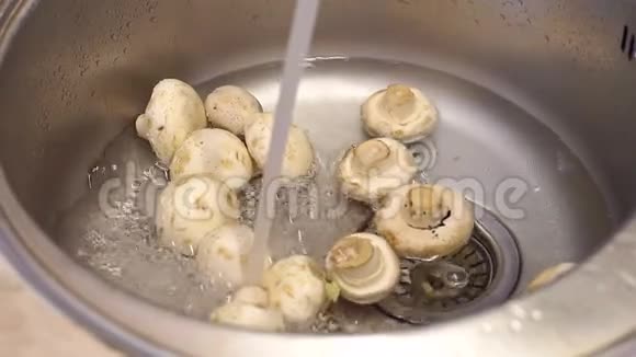 鲍奇尼蘑菇在金属水槽下流水特写视频的预览图